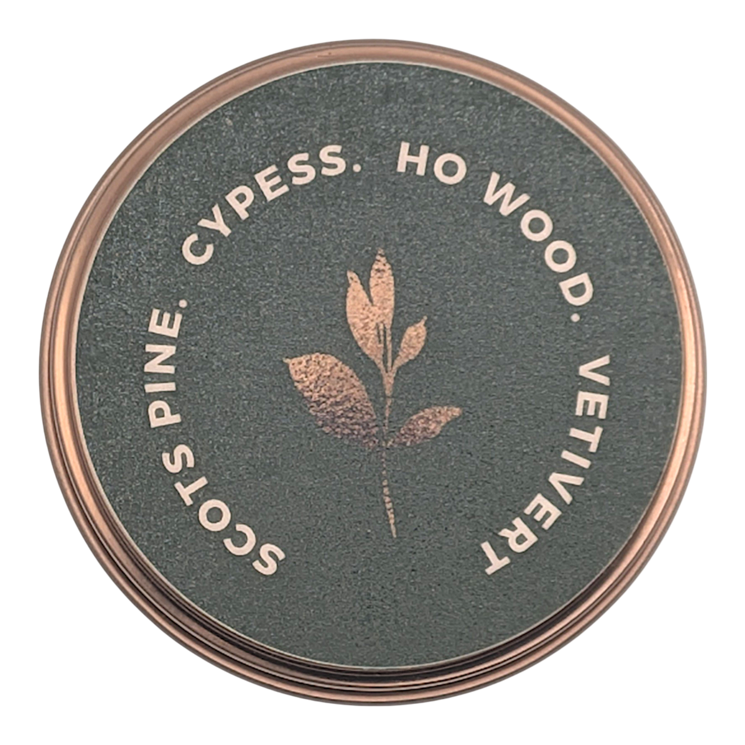 Compact Comfort Autumn Forest