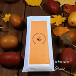 The Ethical Leaf Co. Autumn Glow - Spruce Sweet Orange Clary Sage Patchouli Wax Melts Autumn Collection