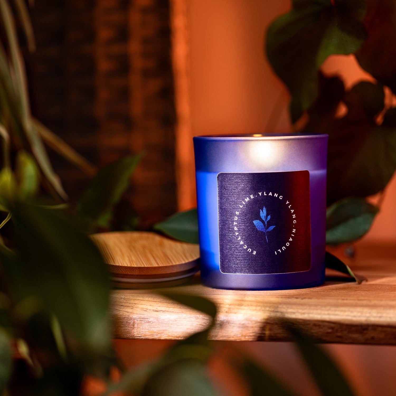 The Ethical Leaf Discover the calming atmosphere of our Essential Oil-infused Ocean Candle. Expertly crafted with natural scents of Eucalyptus, Ylang Ylang, Lime, and Niaouli, this invigorating aroma evokes the sensation of a serene beach walk. Premium Aromatherapy Ocean Candle